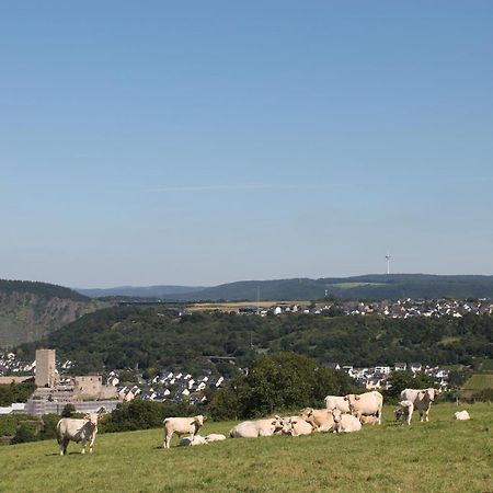 Ferienwohnung Auf Der Moselhoehe - Naehe Koblenz Und Cochem Dieblich Εξωτερικό φωτογραφία