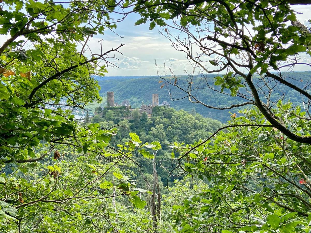 Ferienwohnung Auf Der Moselhoehe - Naehe Koblenz Und Cochem Dieblich Εξωτερικό φωτογραφία