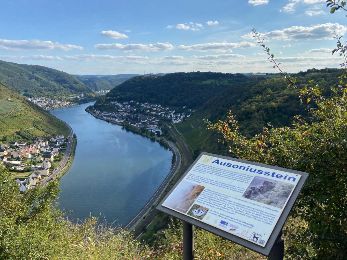 Ferienwohnung Auf Der Moselhoehe - Naehe Koblenz Und Cochem Dieblich Εξωτερικό φωτογραφία