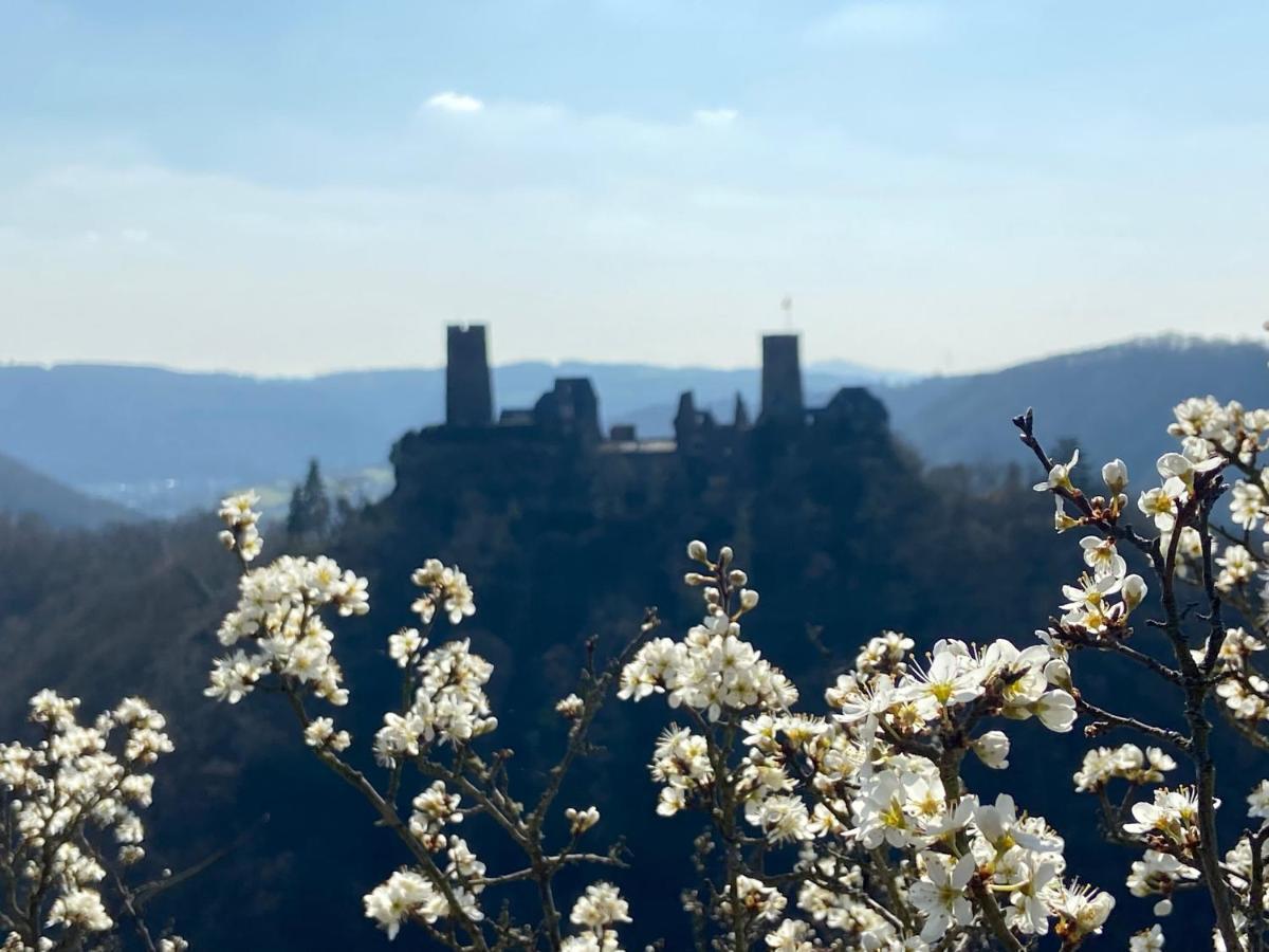 Ferienwohnung Auf Der Moselhoehe - Naehe Koblenz Und Cochem Dieblich Εξωτερικό φωτογραφία