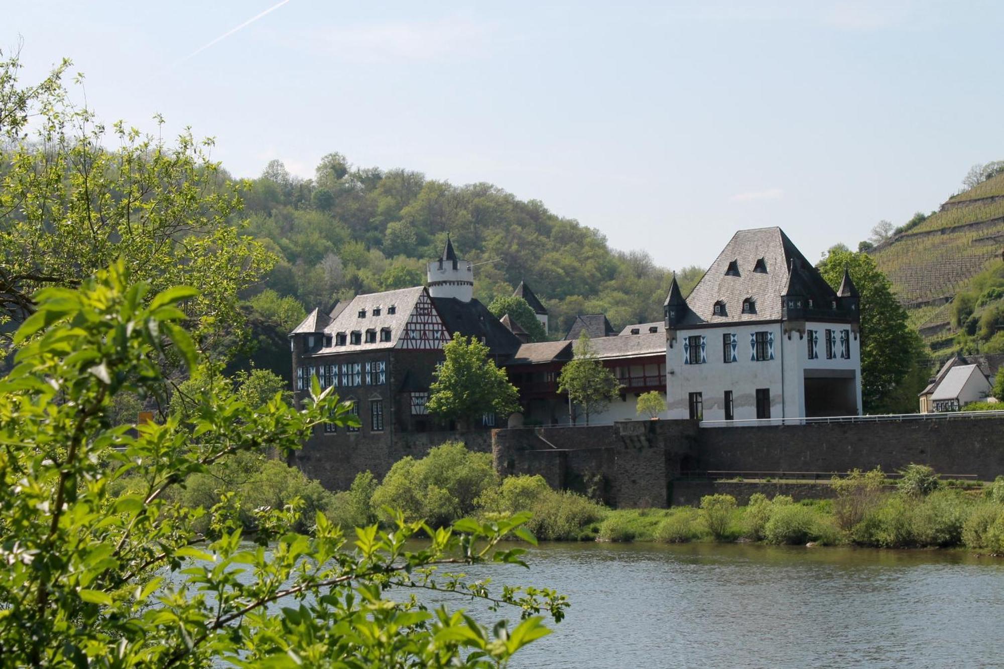 Ferienwohnung Auf Der Moselhoehe - Naehe Koblenz Und Cochem Dieblich Εξωτερικό φωτογραφία