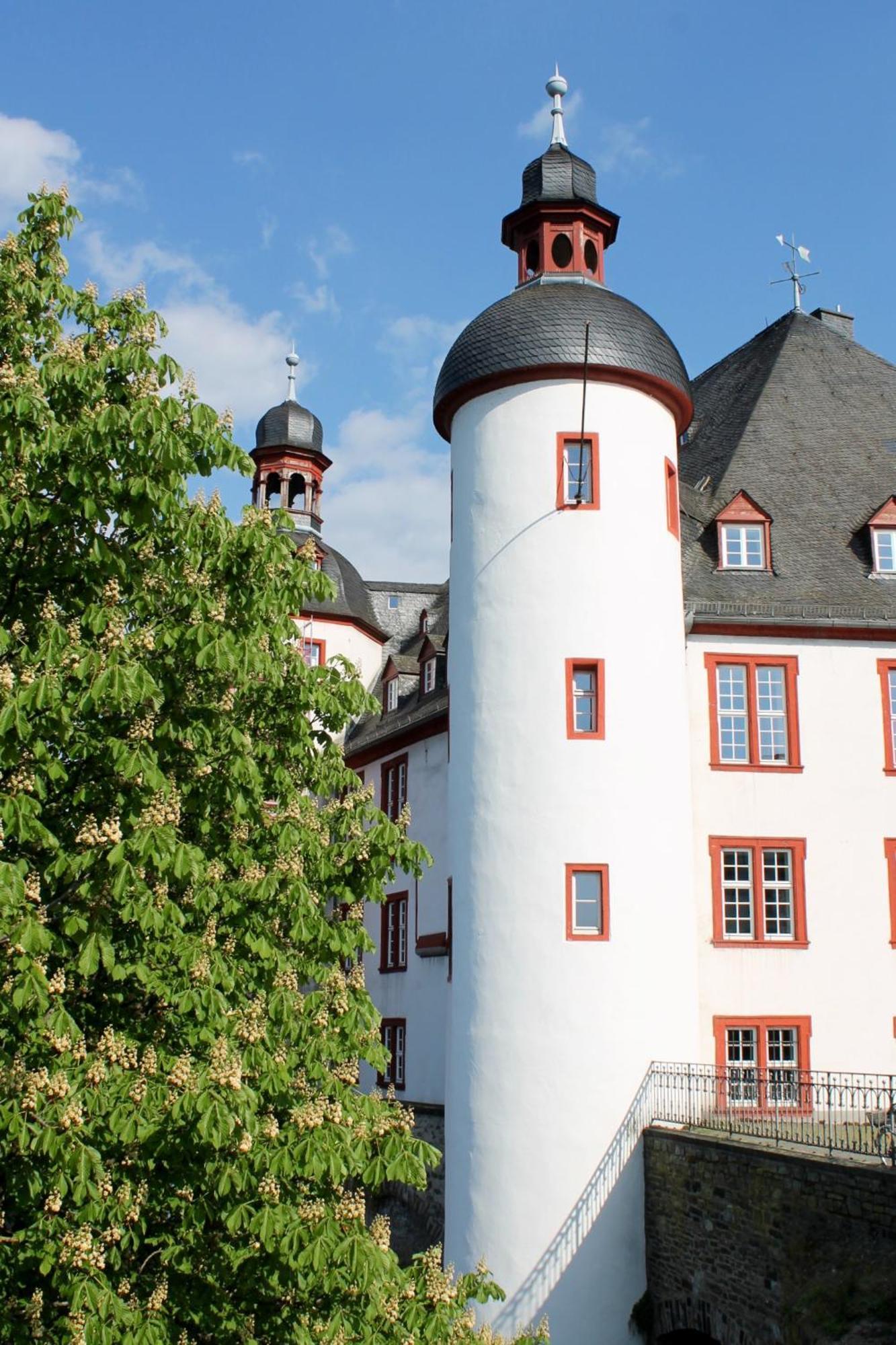 Ferienwohnung Auf Der Moselhoehe - Naehe Koblenz Und Cochem Dieblich Εξωτερικό φωτογραφία