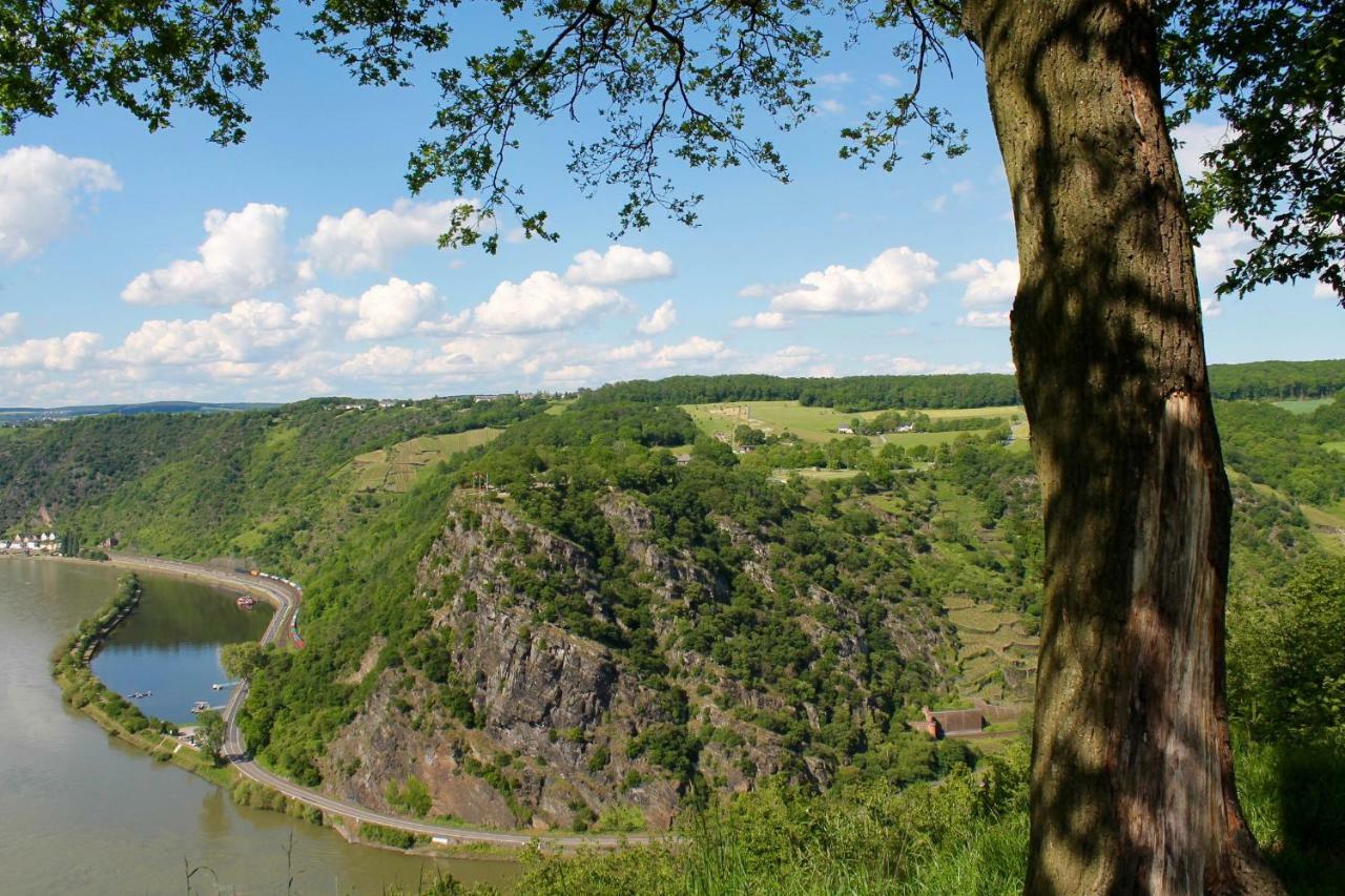 Ferienwohnung Auf Der Moselhoehe - Naehe Koblenz Und Cochem Dieblich Εξωτερικό φωτογραφία