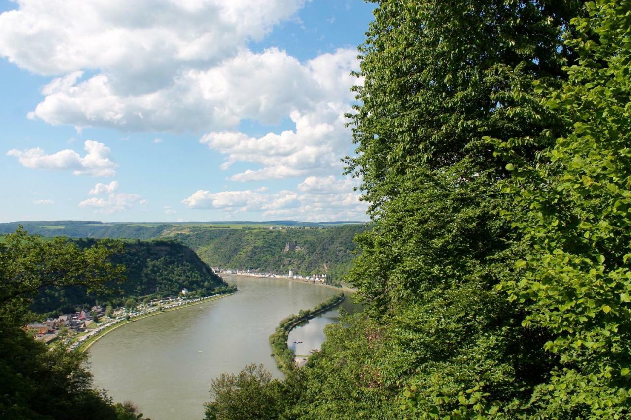 Ferienwohnung Auf Der Moselhoehe - Naehe Koblenz Und Cochem Dieblich Εξωτερικό φωτογραφία